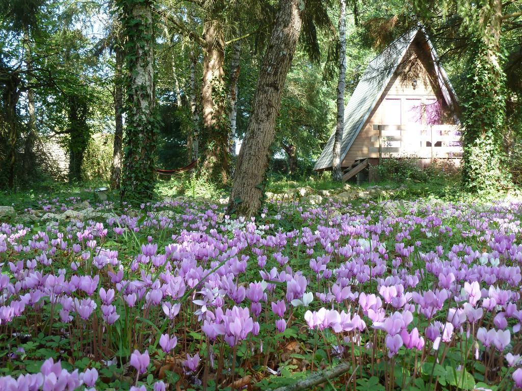 La Rossignolerie - Cabane Aux Oiseaux Chouzy-sur-Cisse Eksteriør bilde